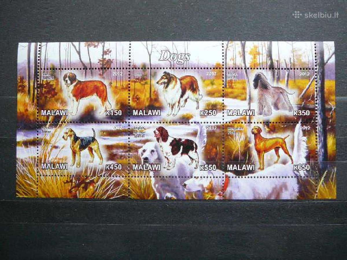 Sunys Malavis 2012 svarus g584a/b