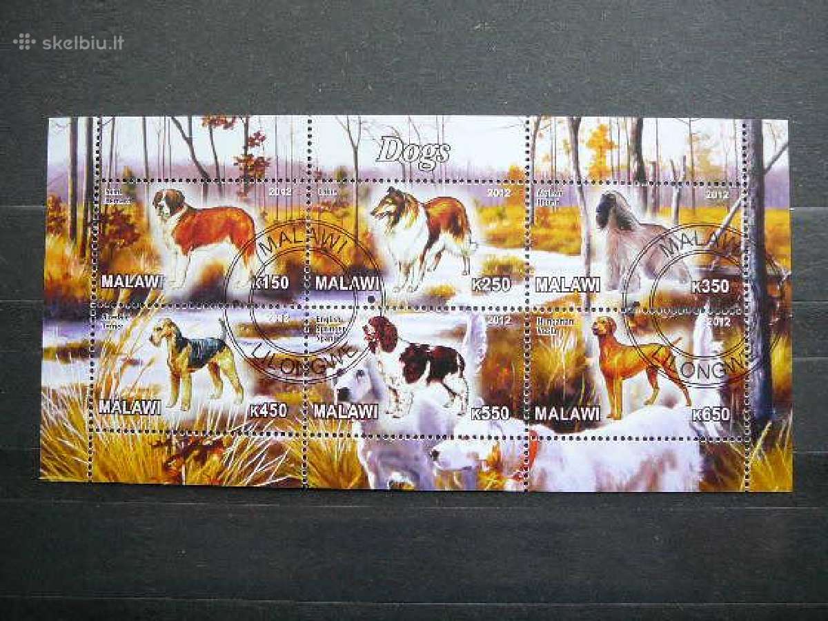 Sunys Malavis 2012 antsp. g584
