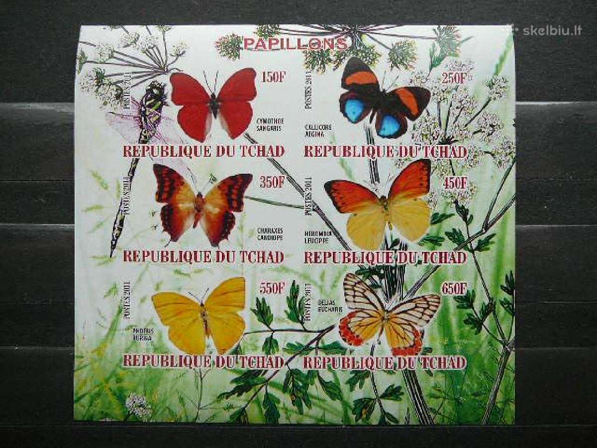 Drugeliai svarus g489a/b - nuotraukos Nr. 2