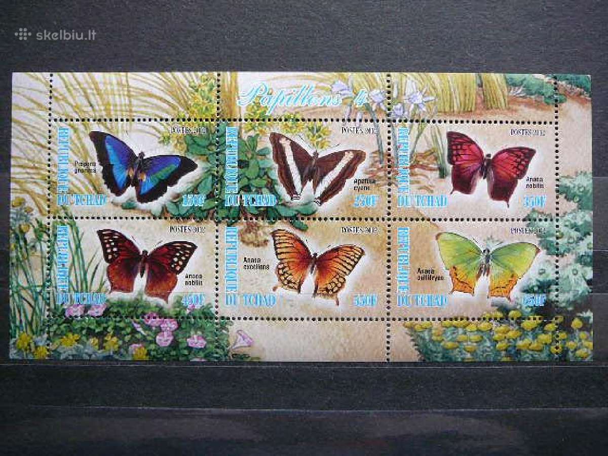 Drugeliai Cadas 2012 10xklb. svarus g526/0a/b - nuotraukos Nr. 7