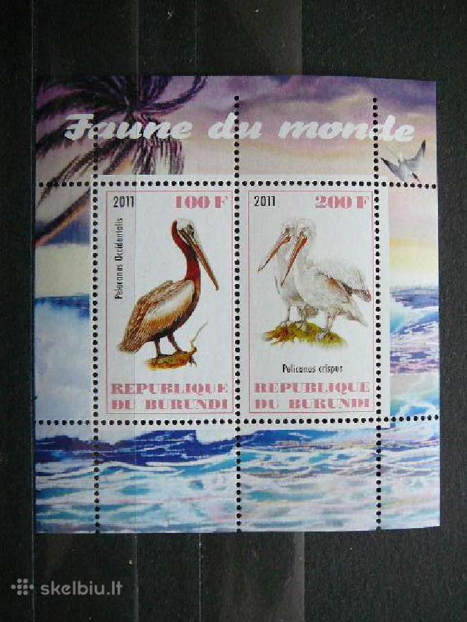 Pelikanai Pauksciai Burundis 2011 svarus g310a