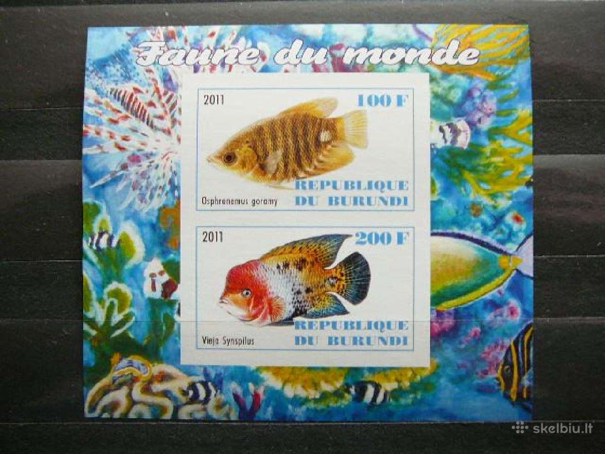 Zuvys Burundis 2011 svarus g314b