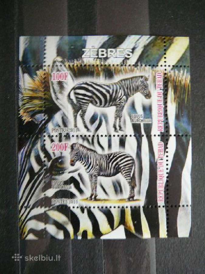 Zebrai Cadas 2011 svarus g514a/b