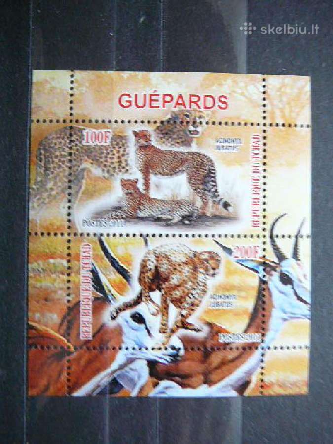 Gepardai Kates laukines Cadas 2011 svarus g524a/b