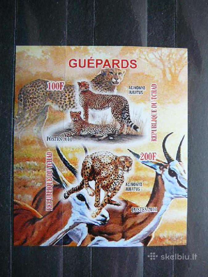 Gepardai Kates laukines Cadas 2011 svarus g524a/b - nuotraukos Nr. 2