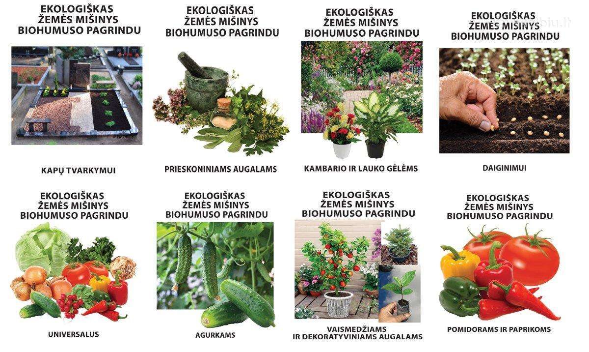 Biohumusas (mišiniai, skystos trąšos) - nuotraukos Nr. 6