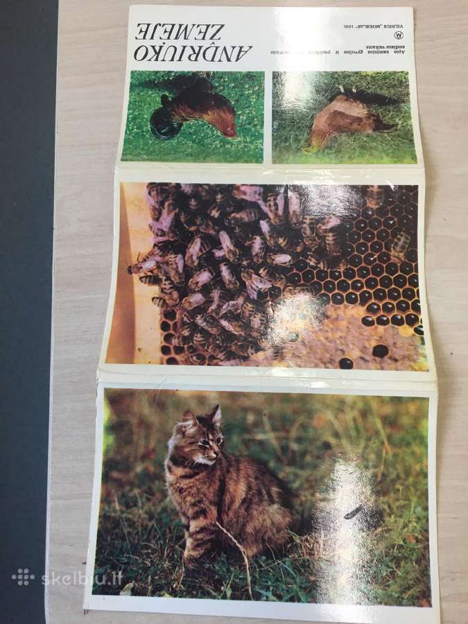Foto nuotraukų rinkinukas - nuotraukos Nr. 5