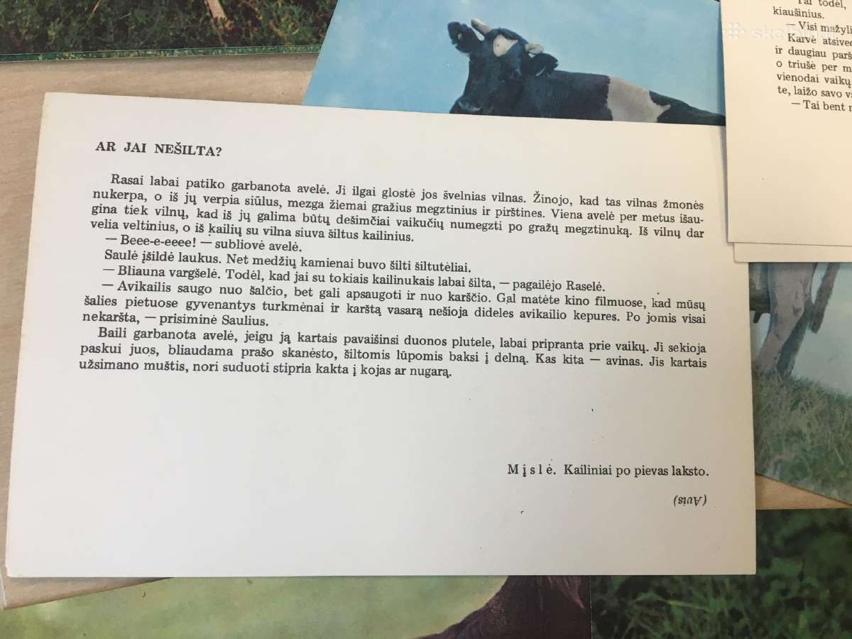 Foto nuotraukų rinkinukas - nuotraukos Nr. 3
