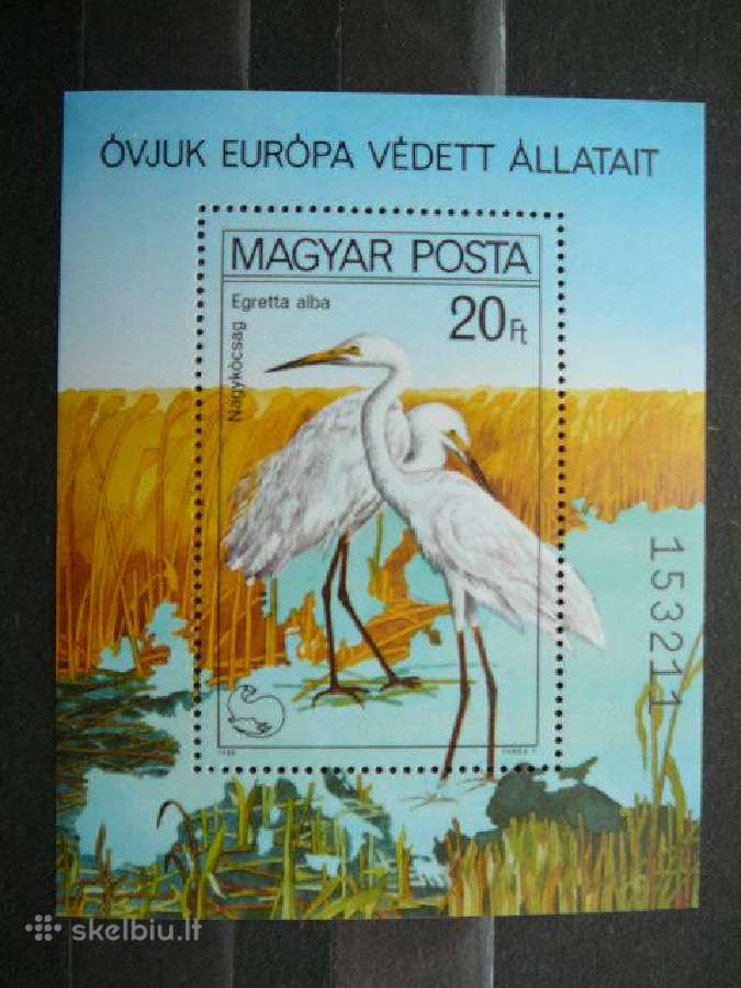 Pauksciai Vengrija blokas Mnh v3457