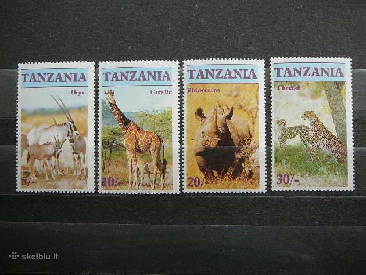 Kates laukines Raganosiai Tanzanija svarus tnz3122