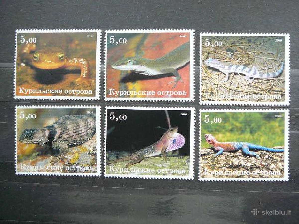Driezai Reptilijos 2xkomplektai svarus vks5/6