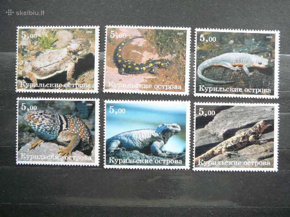 Driezai Reptilijos 2xkomplektai svarus vks5/6 - nuotraukos Nr. 2
