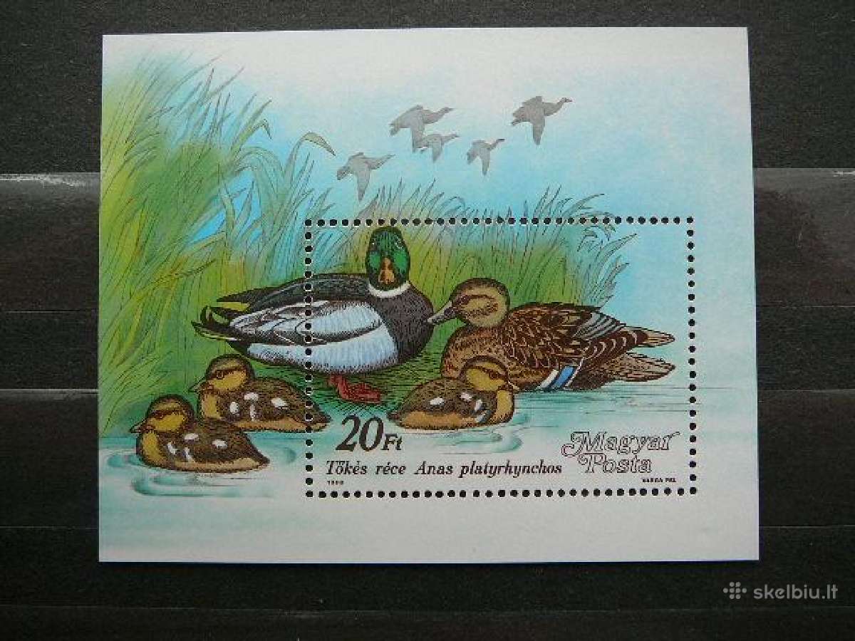 Antys Pauksciai Vengrija Blokas Mnh v3977