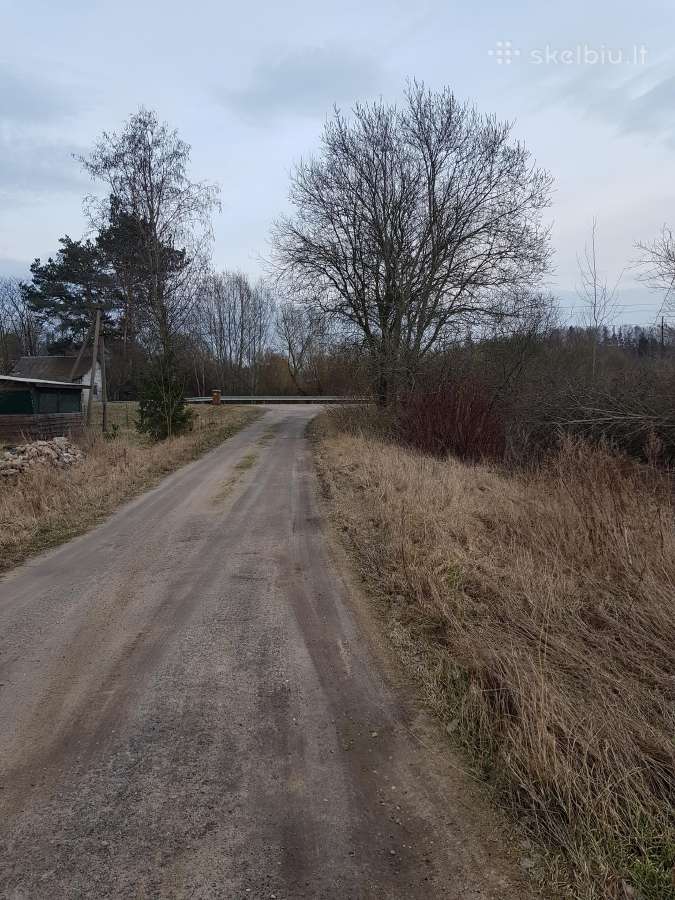 Angaro ilgalaikė/trumpalaikė nuoma - nuotraukos Nr. 7