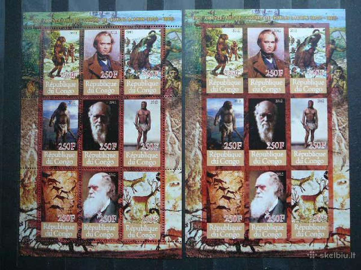 C. Darvinas svarus Kongas 2012 s1017a/b