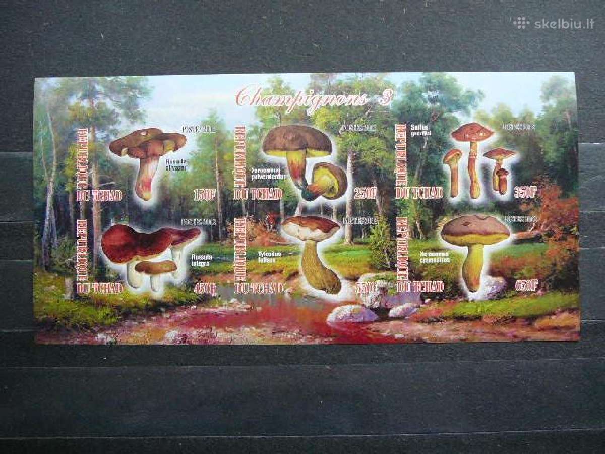 Grybai Cadas 2012 10xbloku svarus g531/5a/b - nuotraukos Nr. 6