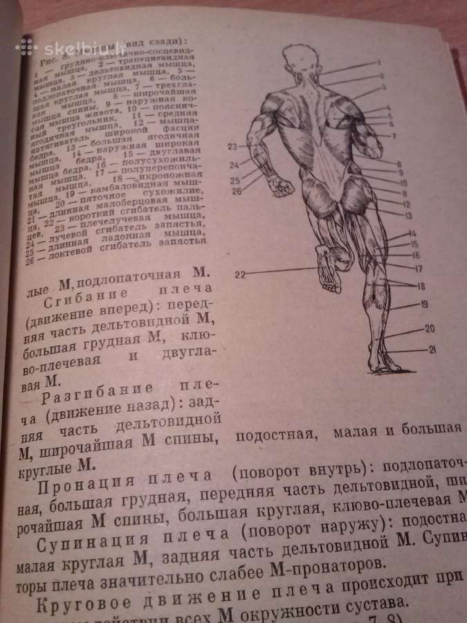 Knyga.spravocnik trenera. - nuotraukos Nr. 6