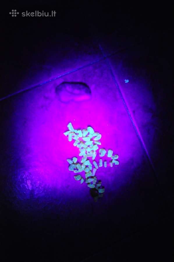 Uv ultravioletinių spindulių prožektorius stintoms - nuotraukos Nr. 6