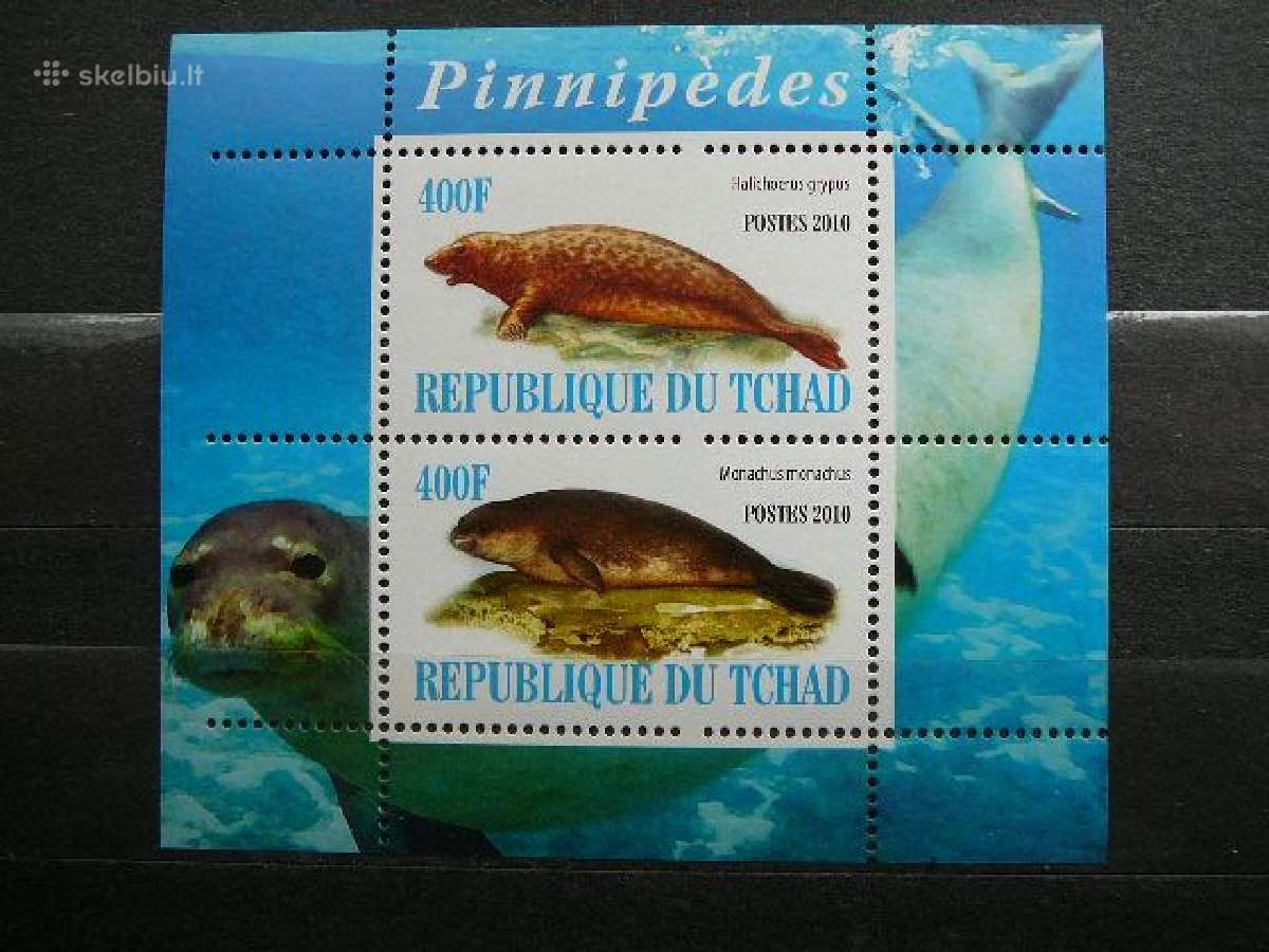 Ruoniai Cadas 2010 svarus g228a