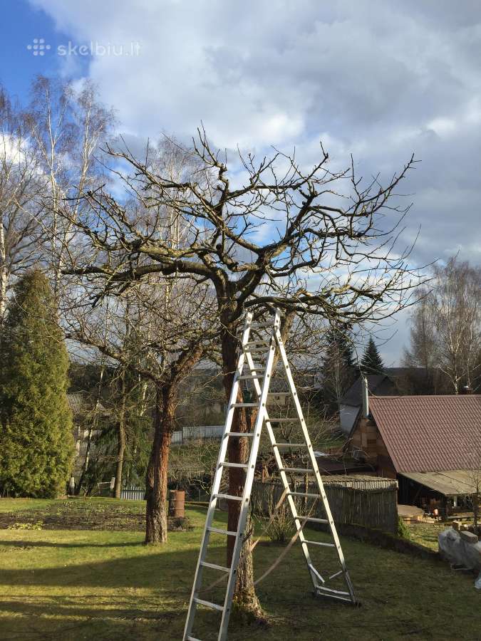 Gyvatvorių kirpimas, sodų purškimas - nuotraukos Nr. 4