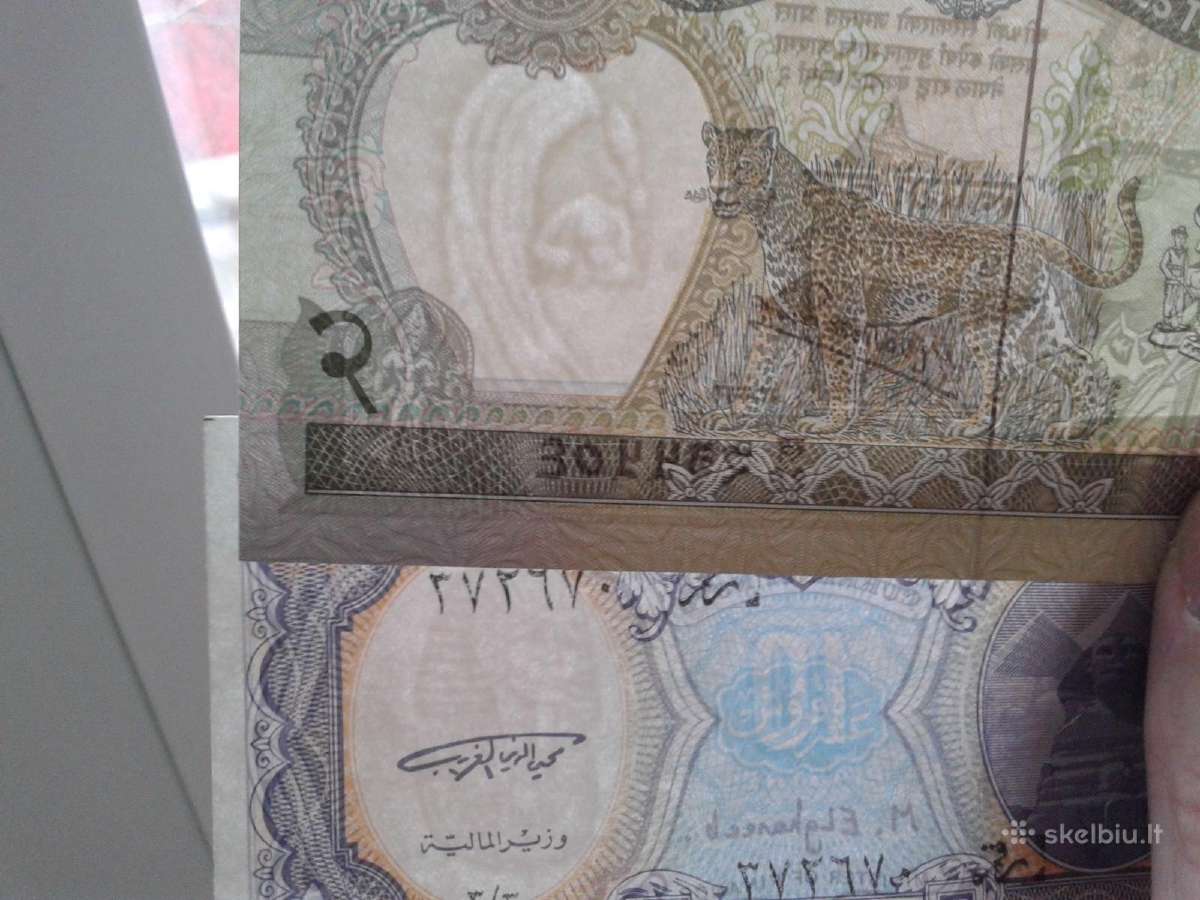 Banknotai - nuotraukos Nr. 8
