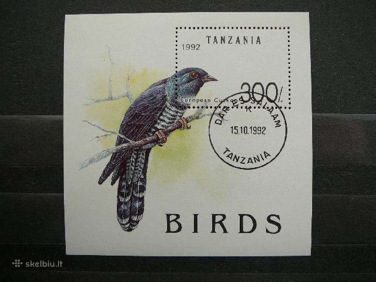 Pauksciai Tanzanija antsp. tnz396