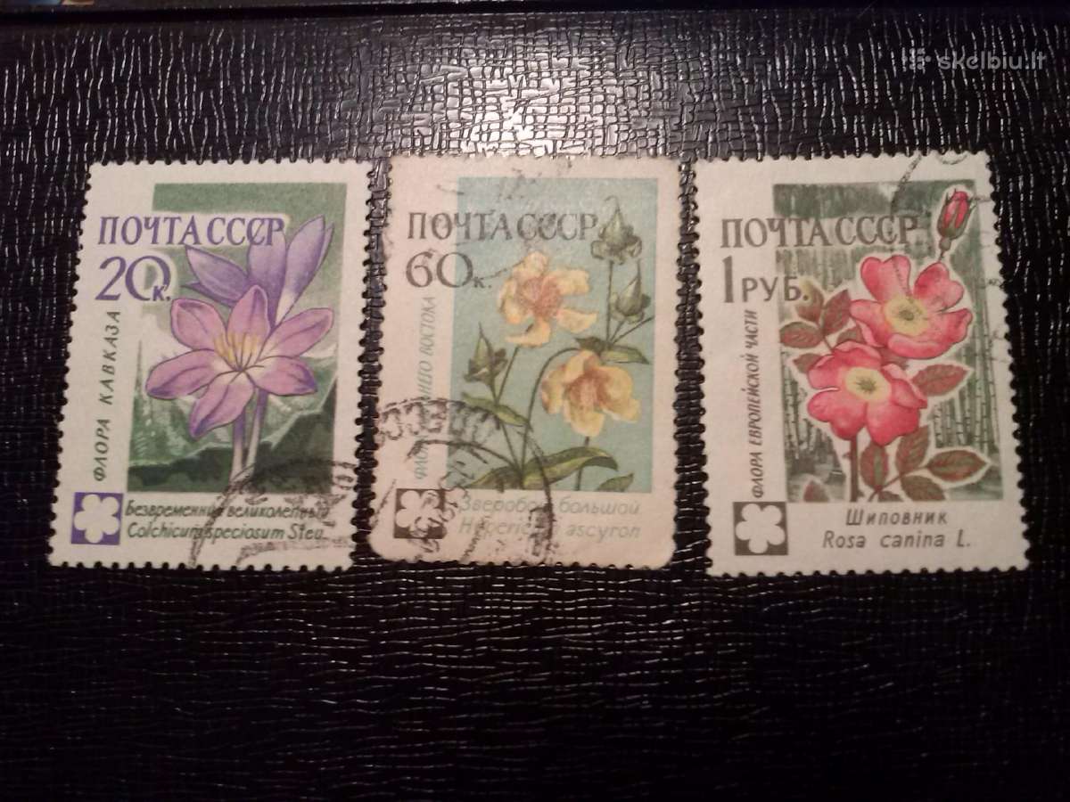 1960m CcCCCP.