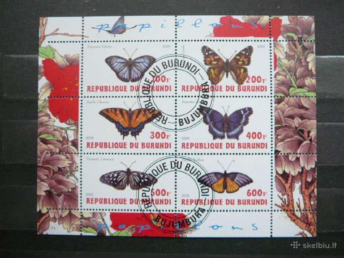 Drugeliai 2009 Burundis antsp. g079