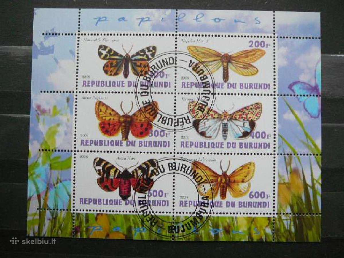 Drugeliai 2009 Burundis antsp. g080