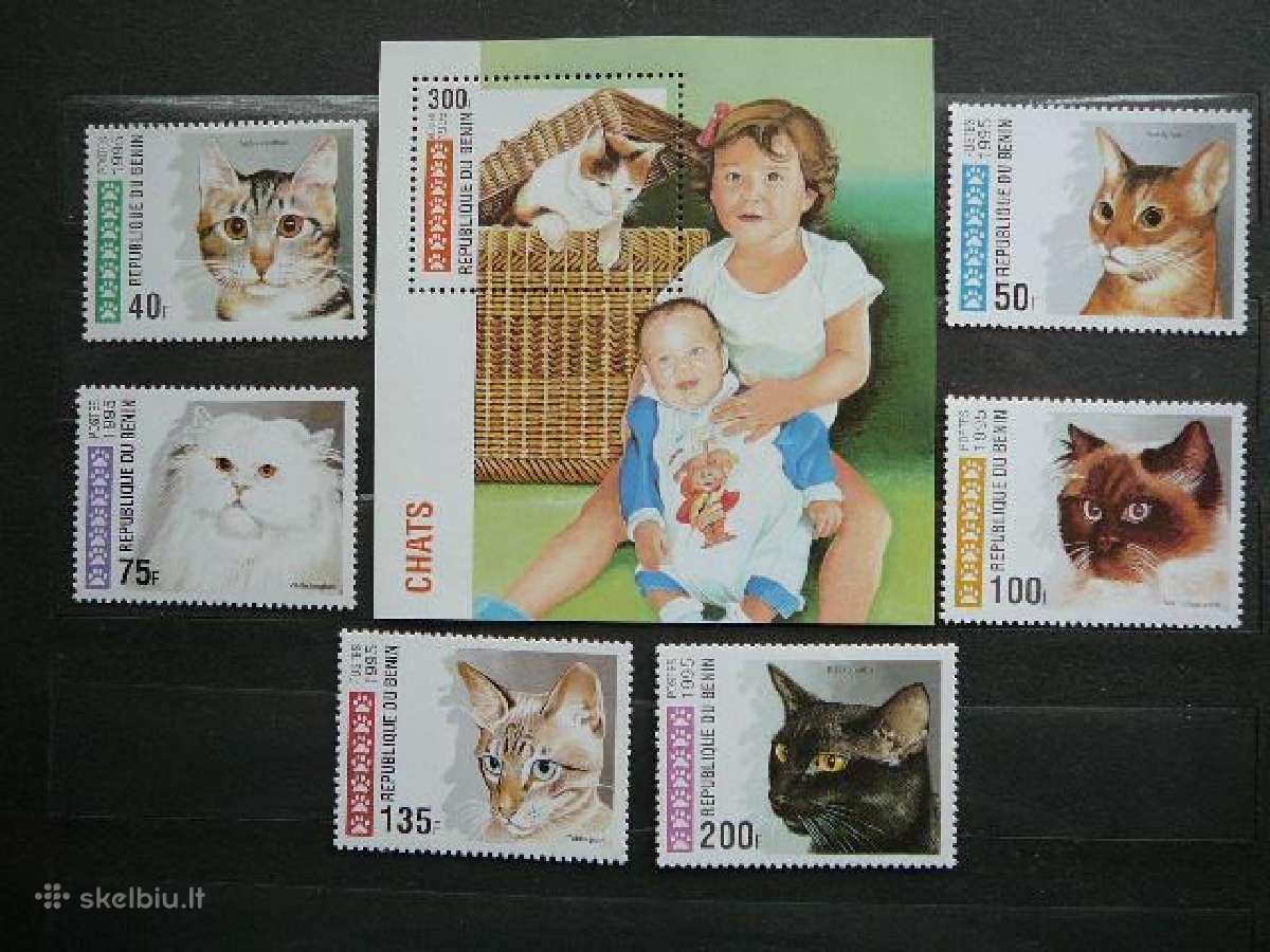 Kates Beninas svarus tks216