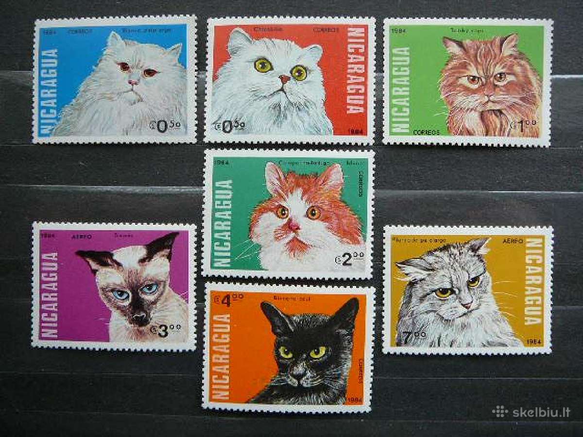 Kates Nikaragva svarus tks219