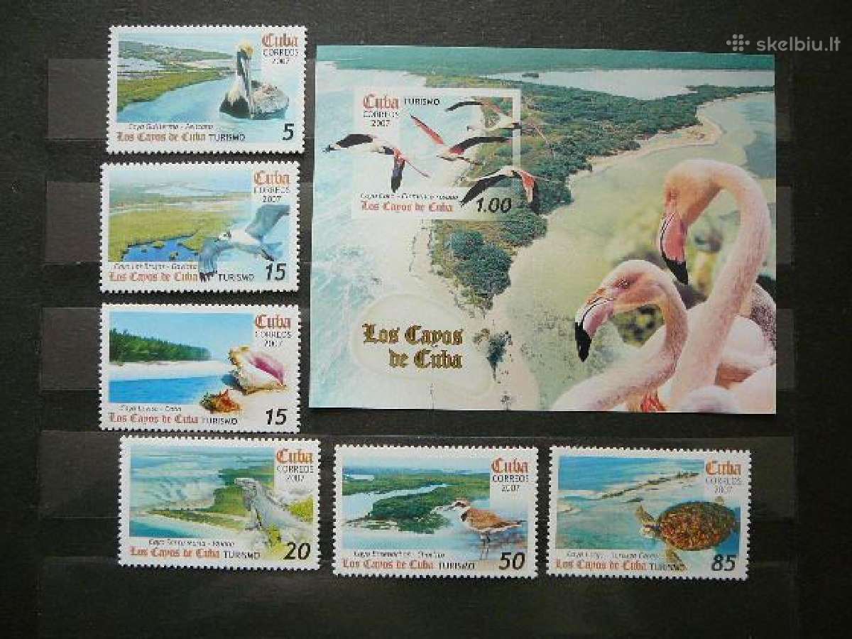 Pauksciai Vezliai Kriaukles Kuba Mnh alb406