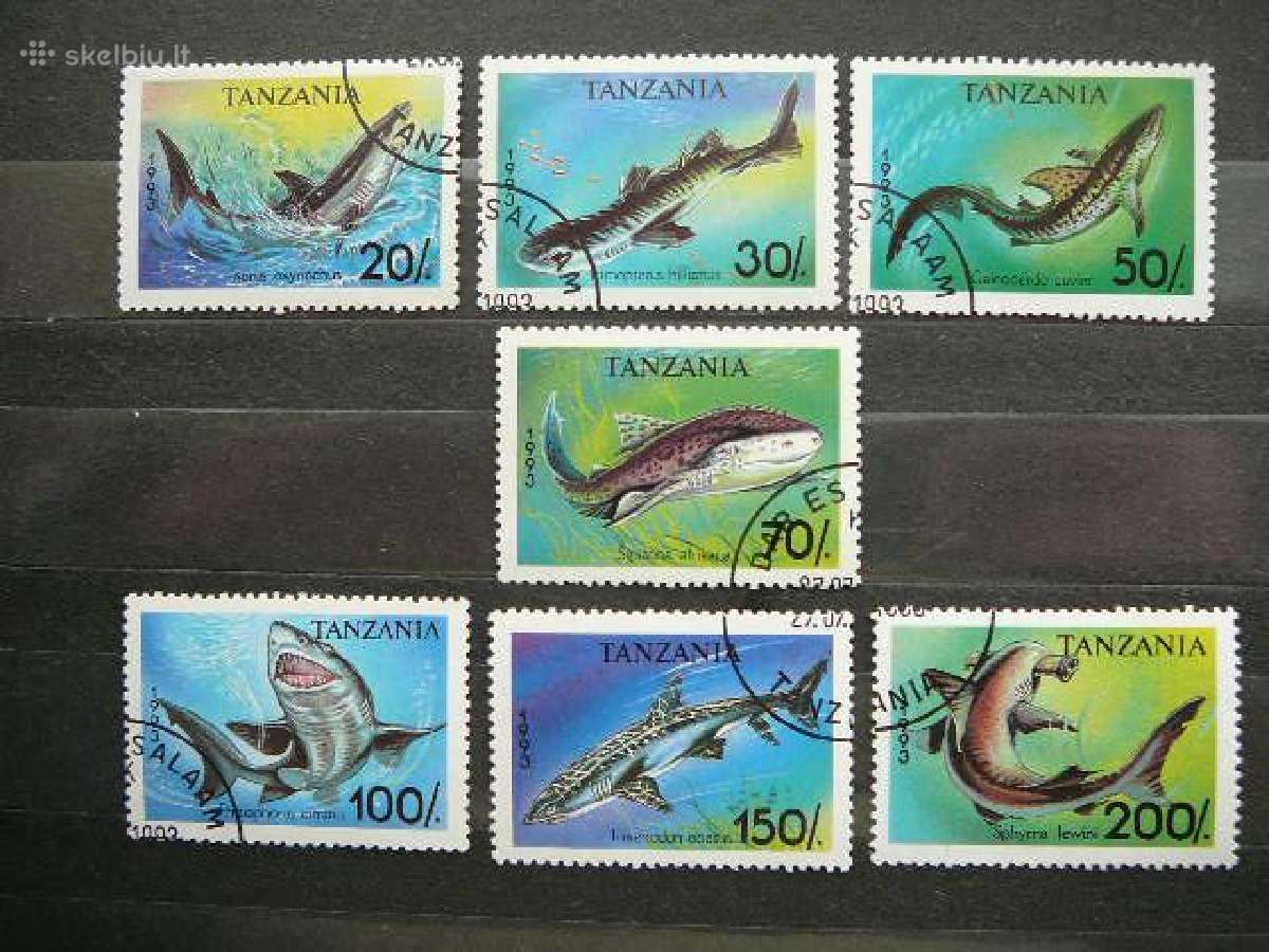 Rykliai Zuvys Tanzanija antsp. tnz407