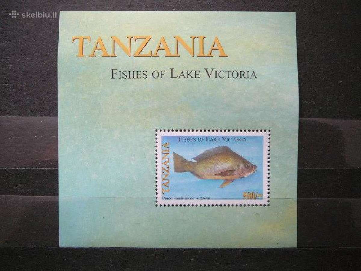 Zuvys Tanzanija svarus alb410