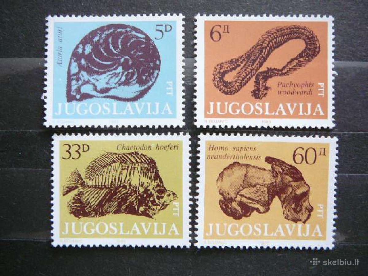 Fosilijos Jugoslavija 1985 svarus js415