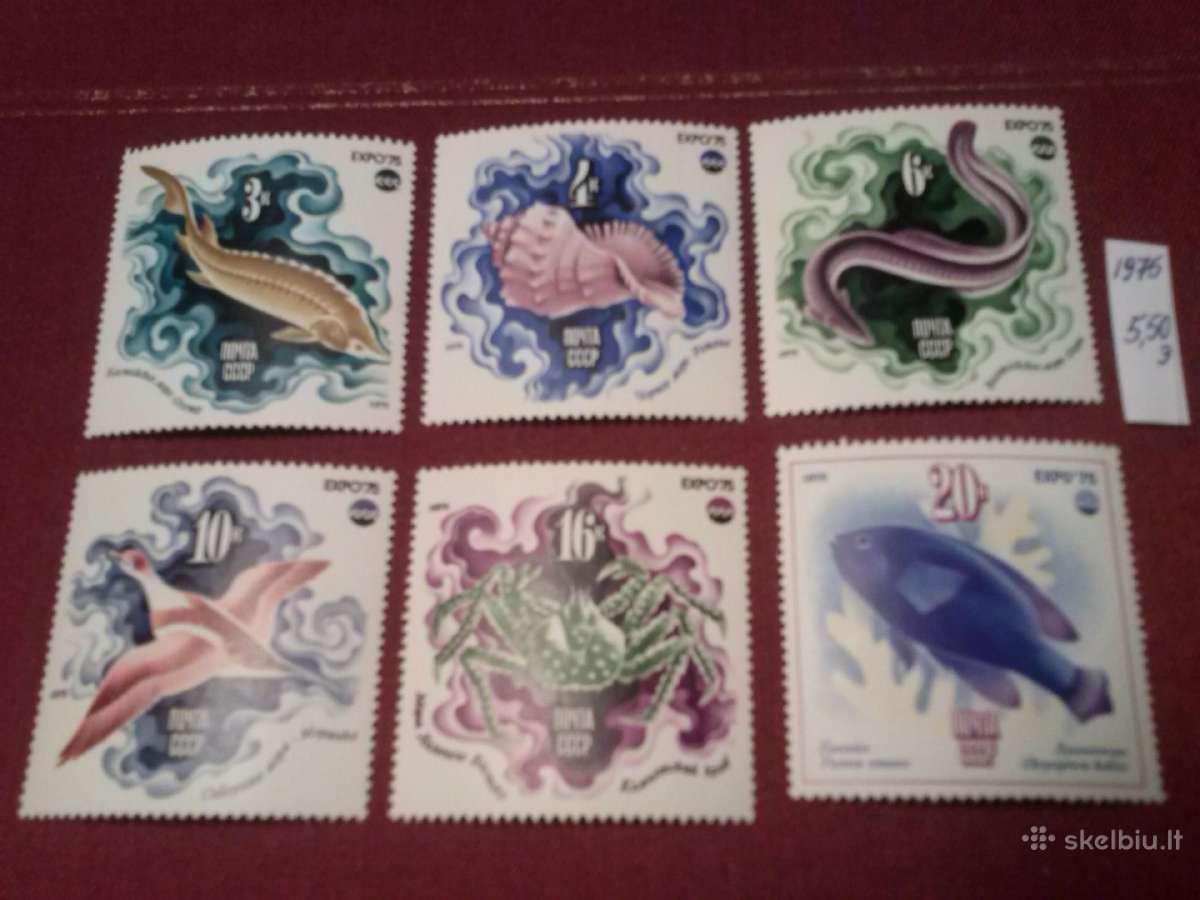 1975 m CCCP. - nuotraukos Nr. 2