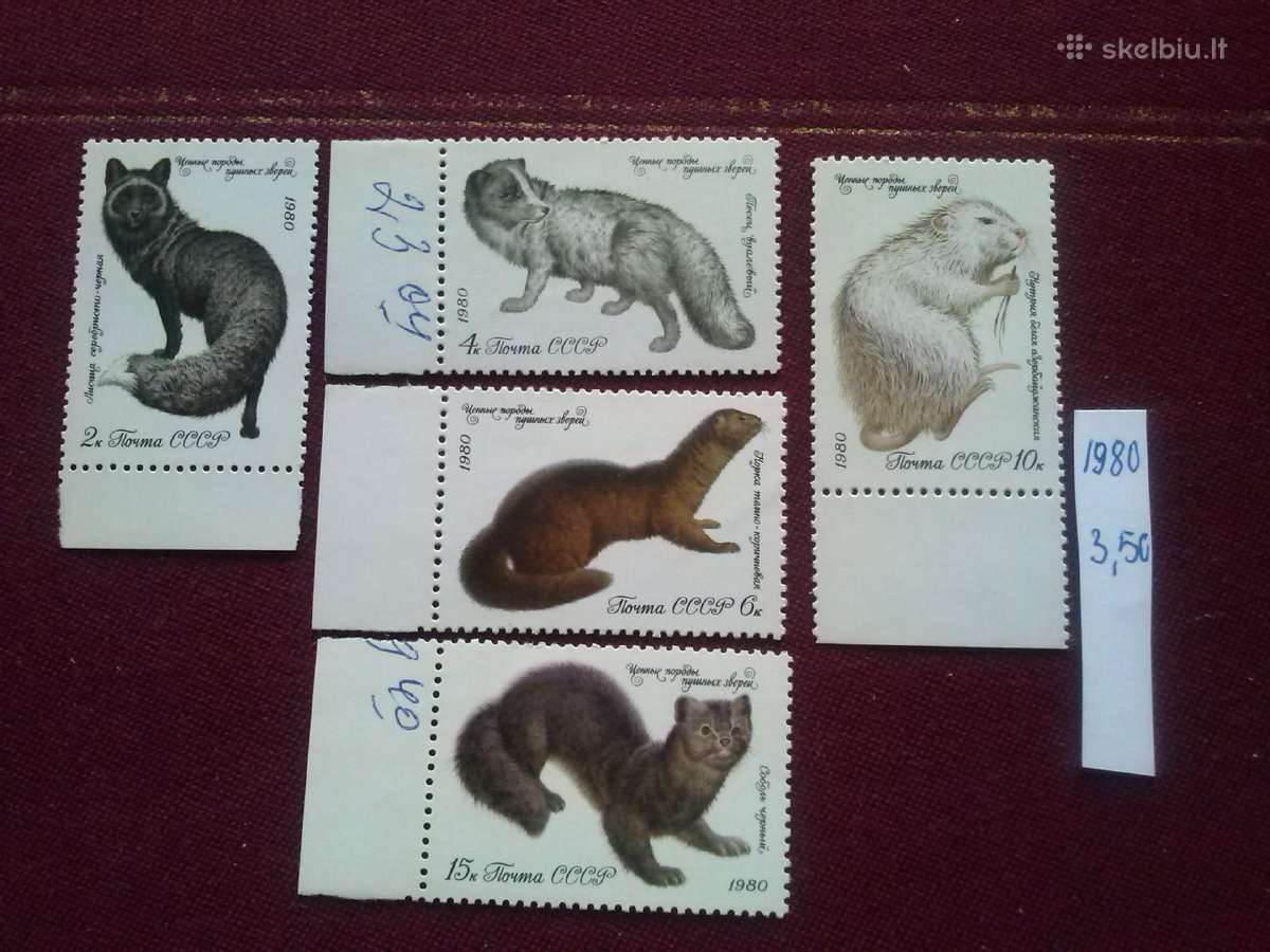1980 m CcCCCP.