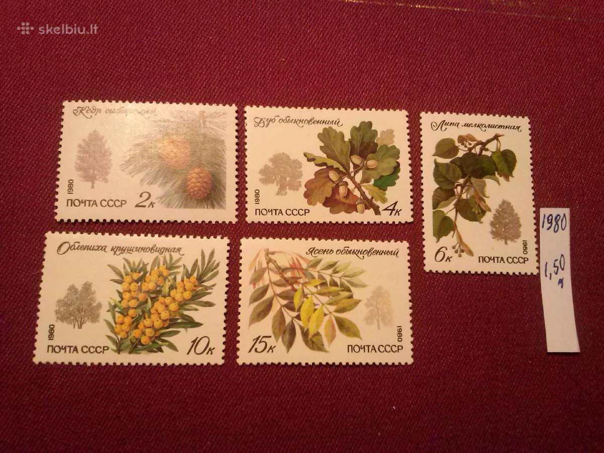 1980 m CcCCCP. - nuotraukos Nr. 2