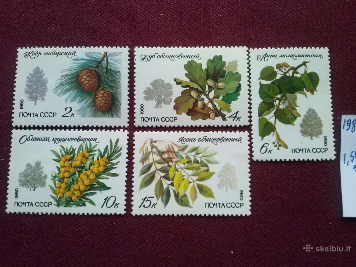 1980 m CcCCCP.