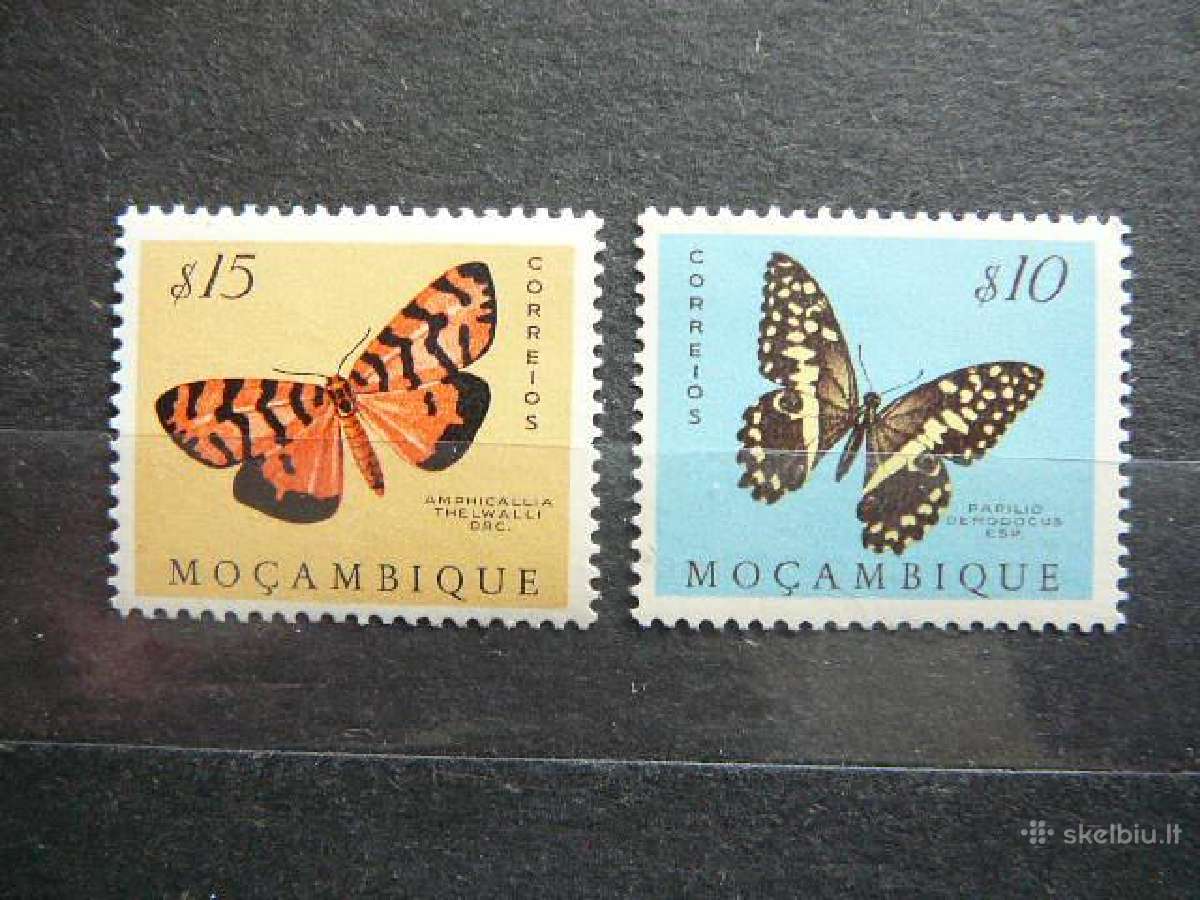 Drugeliai Mozambikas svarus sgr116
