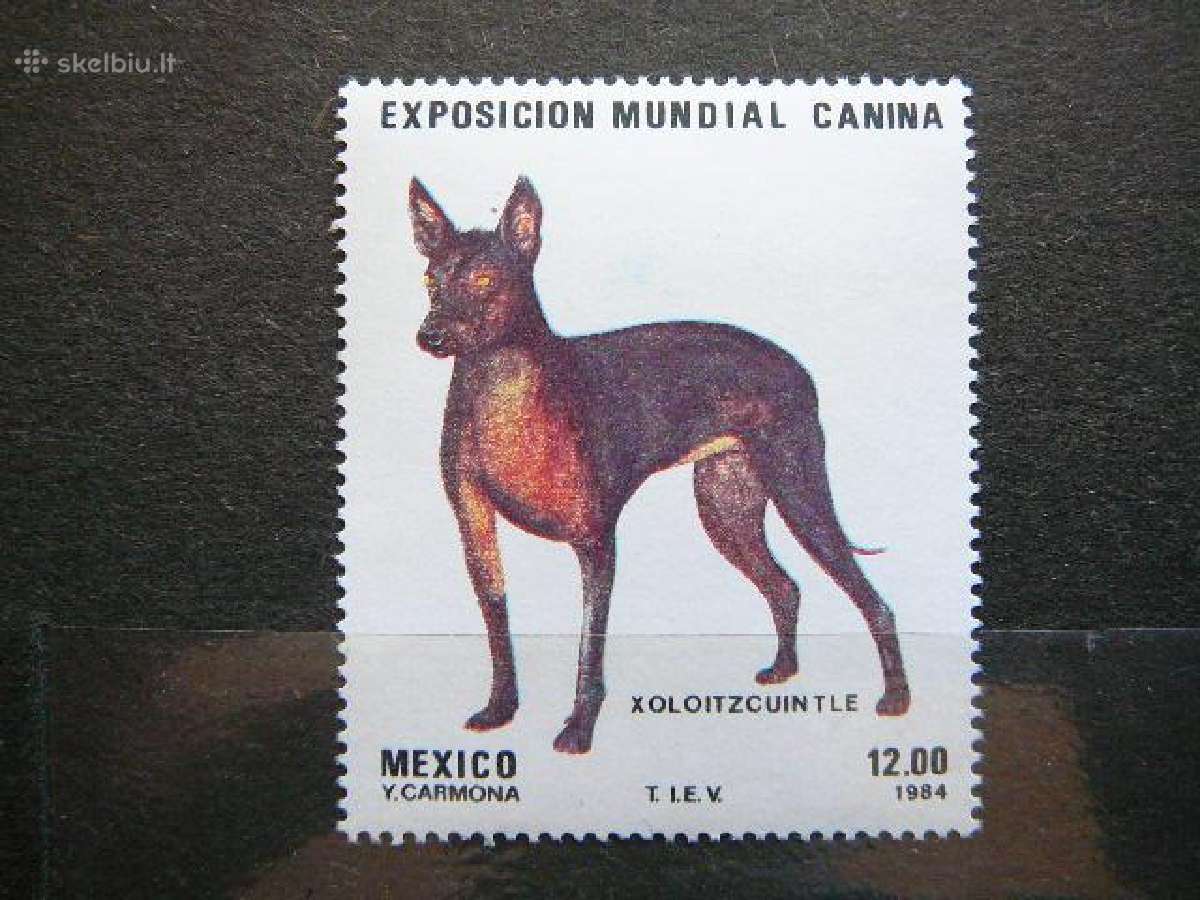 Sunys Meksika 1984 Mnh msk833