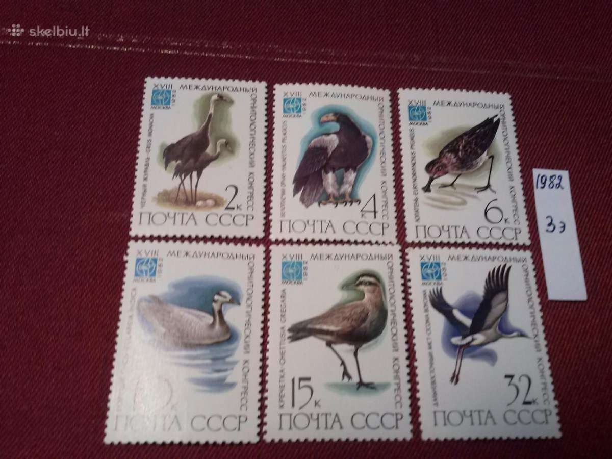 1982 m CcCCCP.