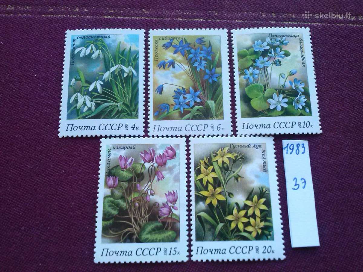 1983 m CcccCCCP. - nuotraukos Nr. 2