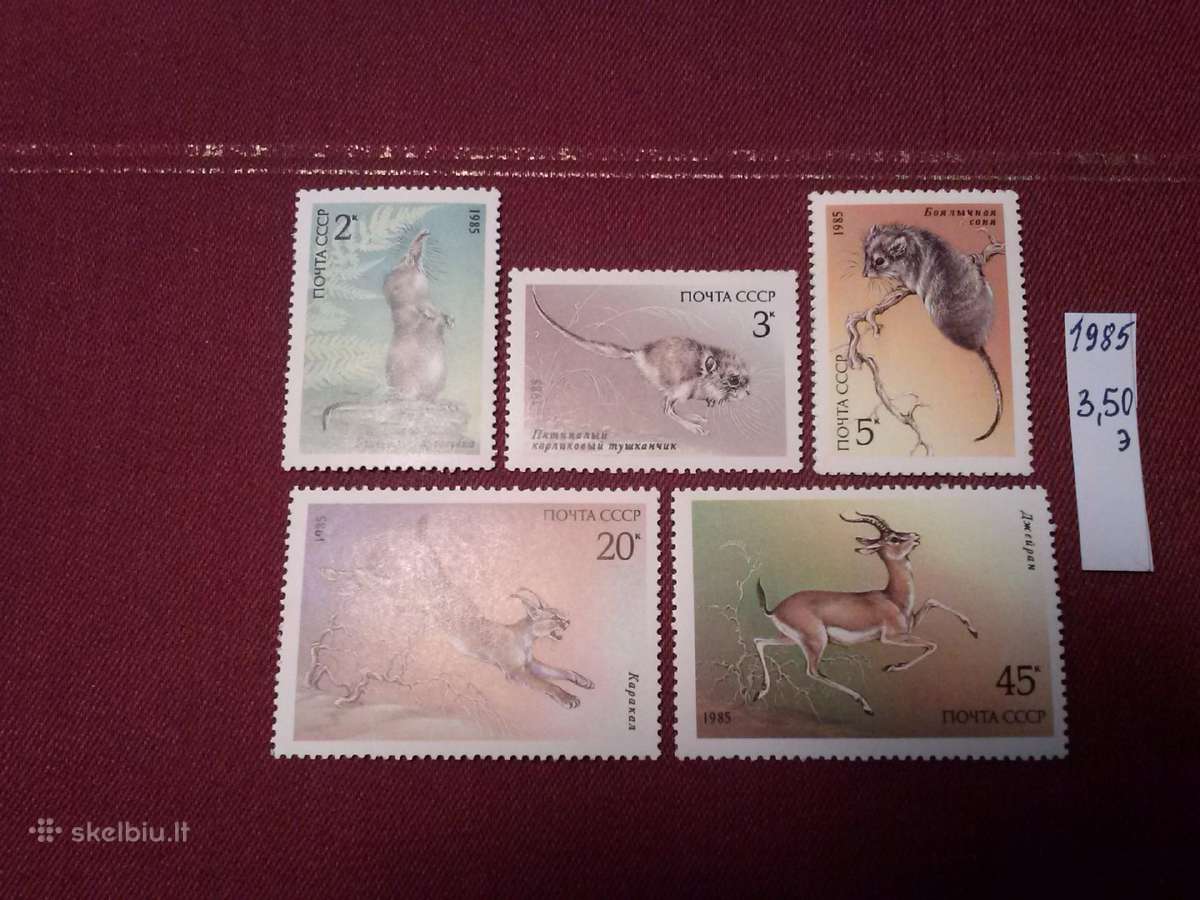 1985 m CcCCCP. - nuotraukos Nr. 2