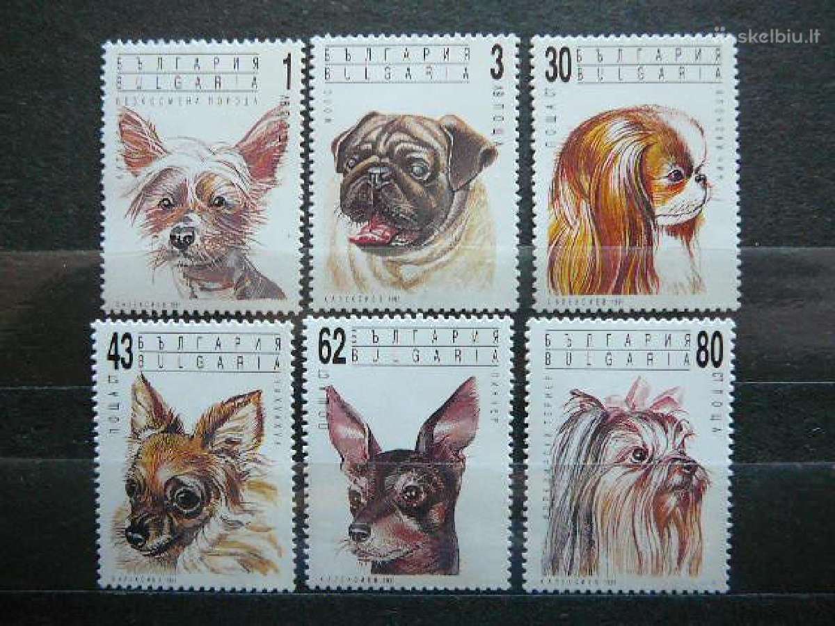 Sunys Bulgarija 1991 Mnh bg836
