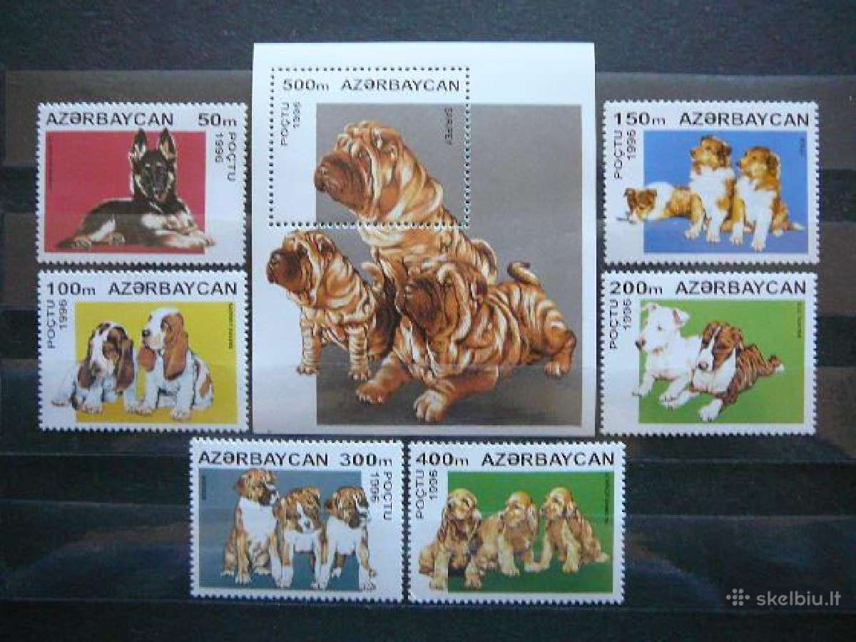 Sunys Azerbaidzanas 1996 Mnh az838
