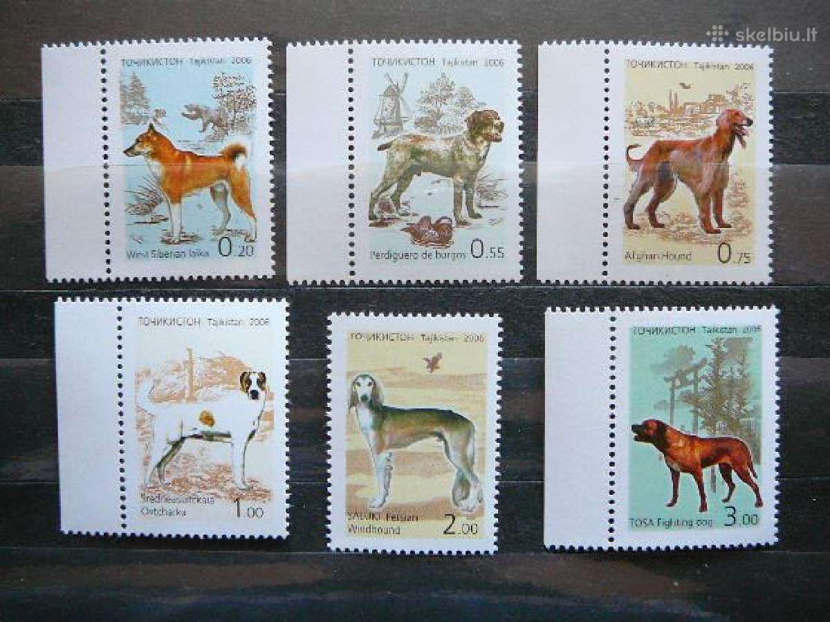 Sunys Tadzikistanas 2006 Mnh td839