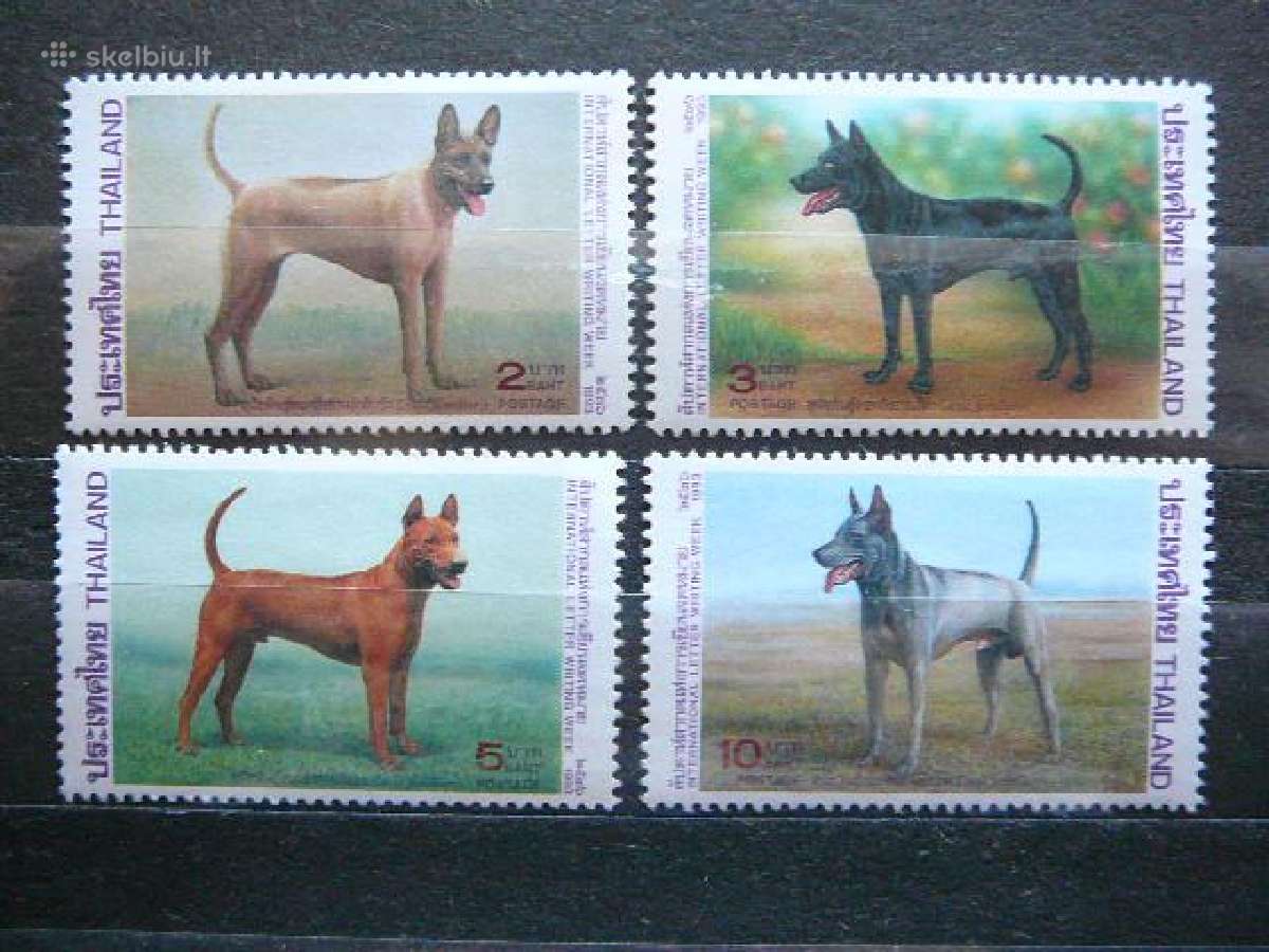Sunys Tailandas 1993 Mnh tnd844