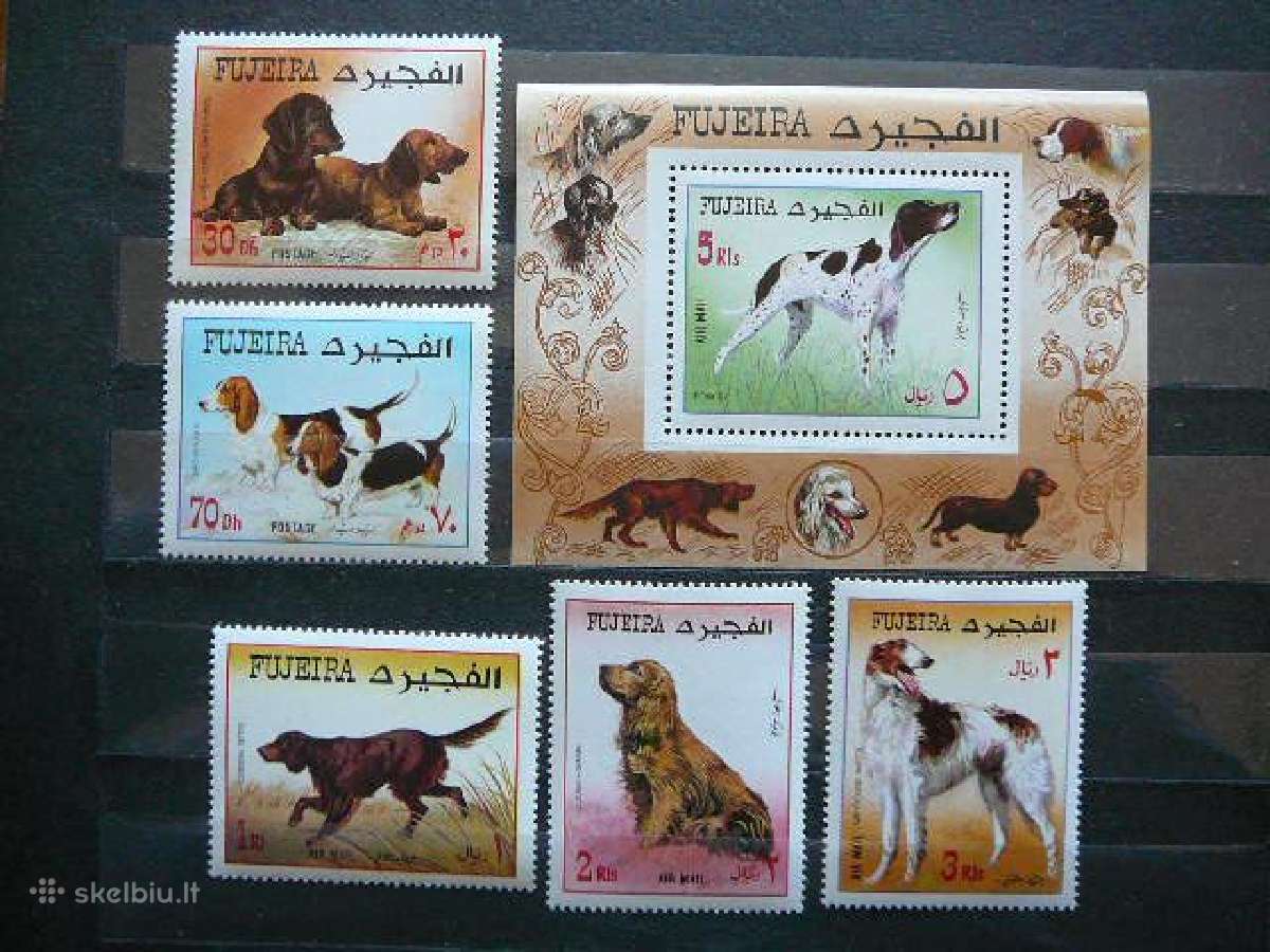 Sunys Fudzeira 1970 svarus uae857