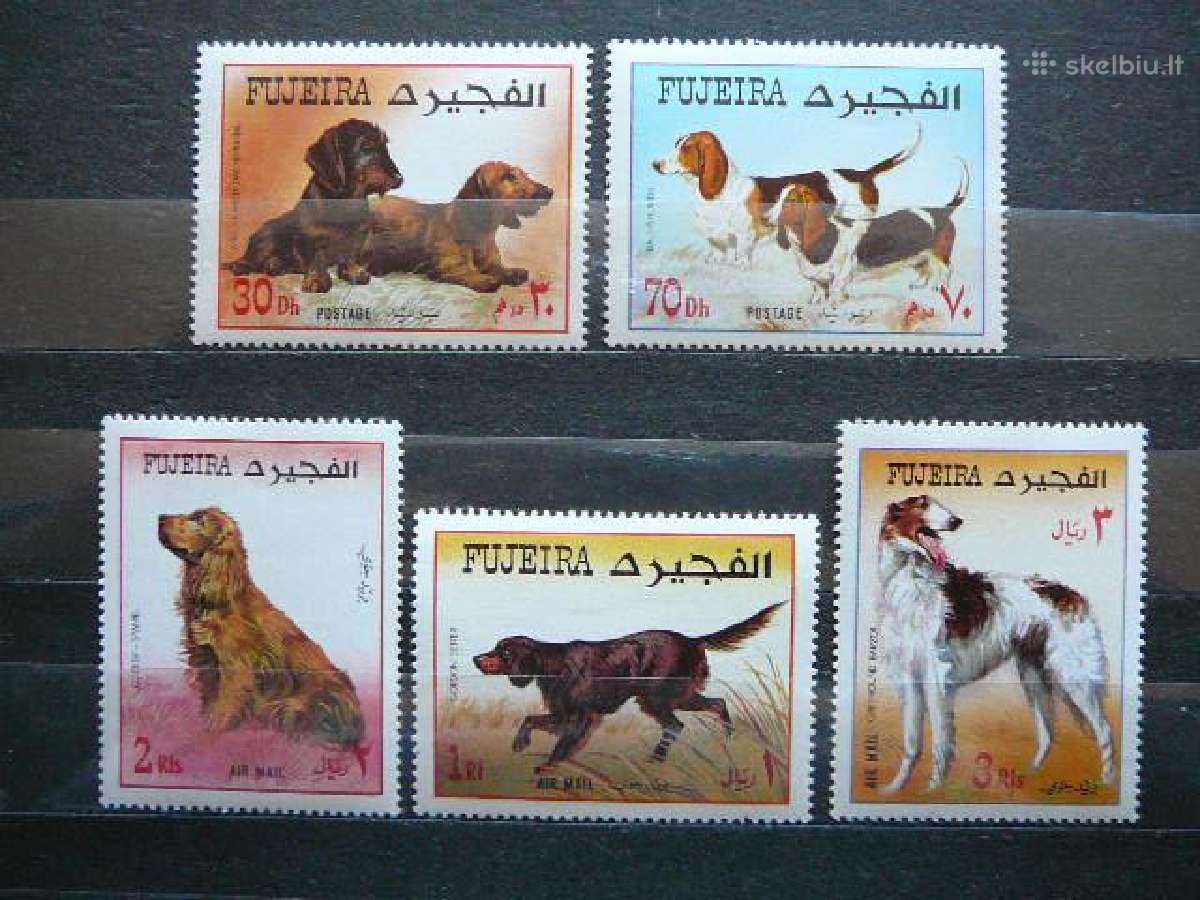 Sunys Fudzeira 1970 svarus uae858